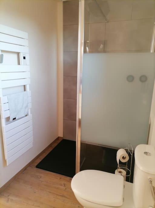 Appartement Et Terrasse Privee Ingolsheim 외부 사진