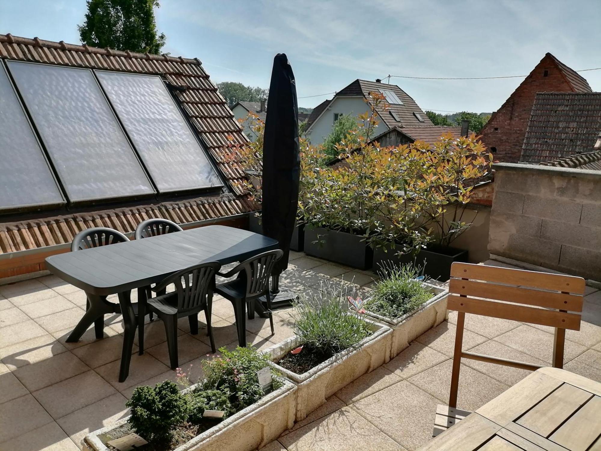 Appartement Et Terrasse Privee Ingolsheim 외부 사진