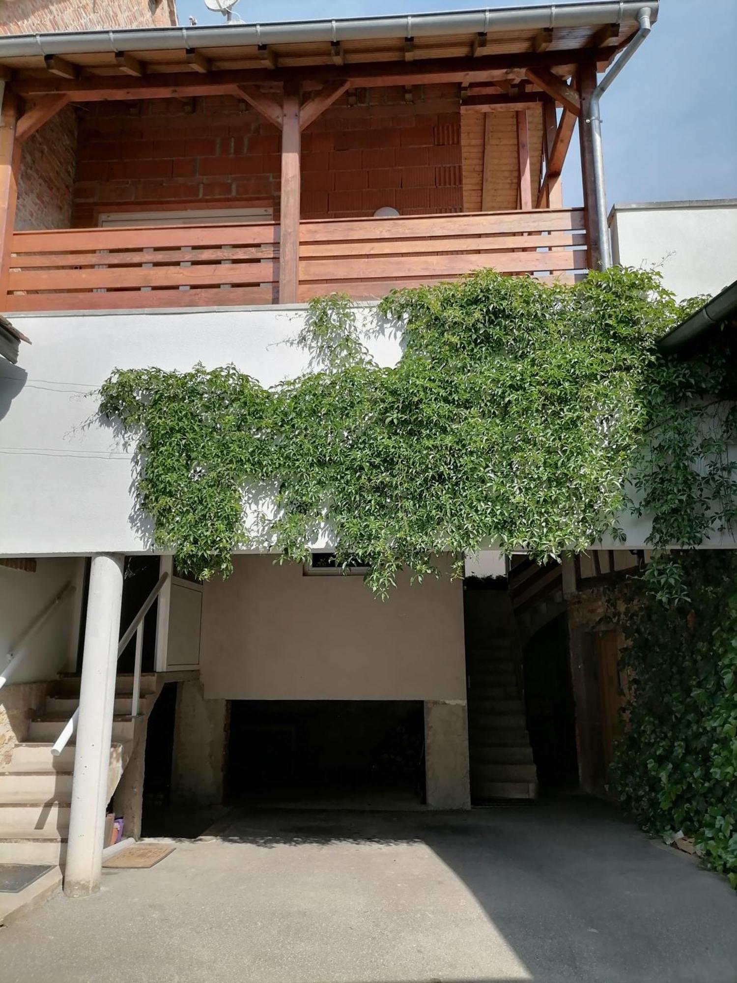 Appartement Et Terrasse Privee Ingolsheim 외부 사진