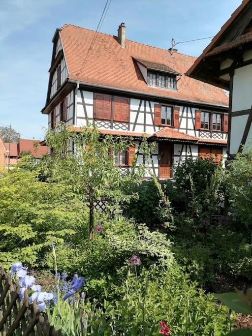 Appartement Et Terrasse Privee Ingolsheim 외부 사진